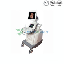 Ysb8000p Mobile Color 4D Ultrasound